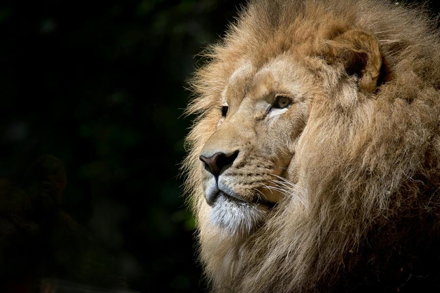 animal encounters at zoo