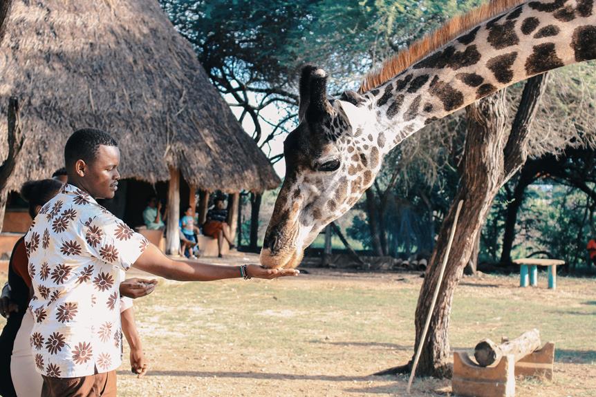 thrilling wildlife encounters offered