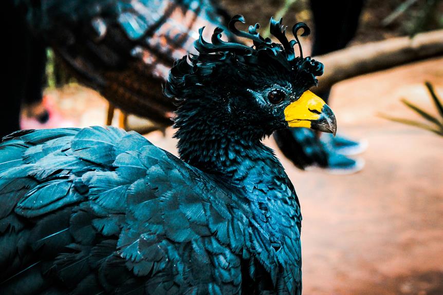 zoo offers thrilling experiences